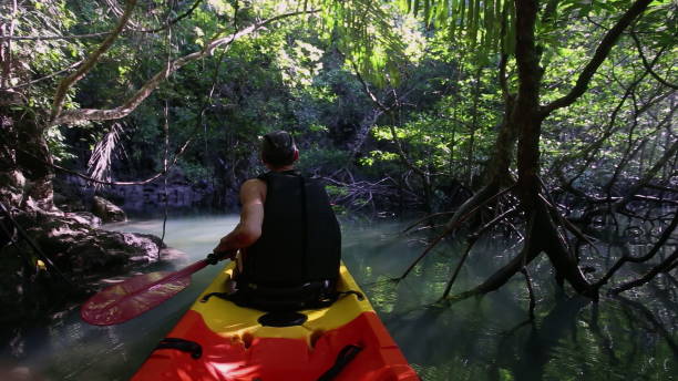 istock Man navigates kayak passing narrow route with dense trees 2158200478