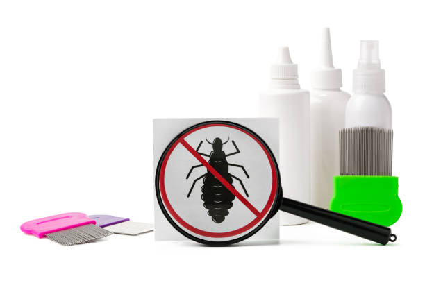 istock Cosmetic products, lice comb and magnifying glass isolated on white 2158200803