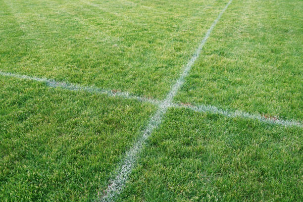 close up on sport field with green grass and white line