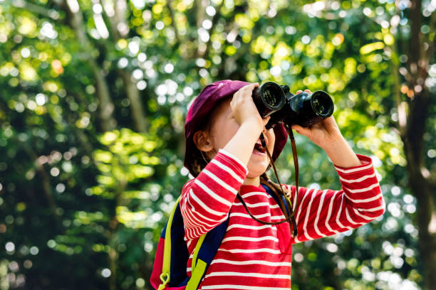 Little girl using binoculars in the forest
