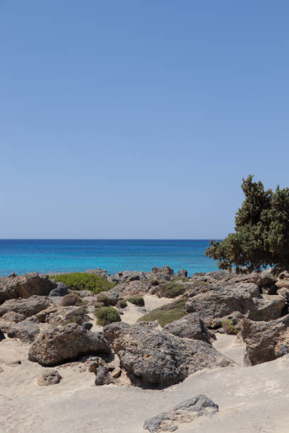 Sea bay morning view from high rocky sea coast