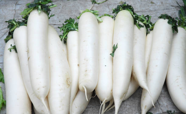 Close up on white radish in pile