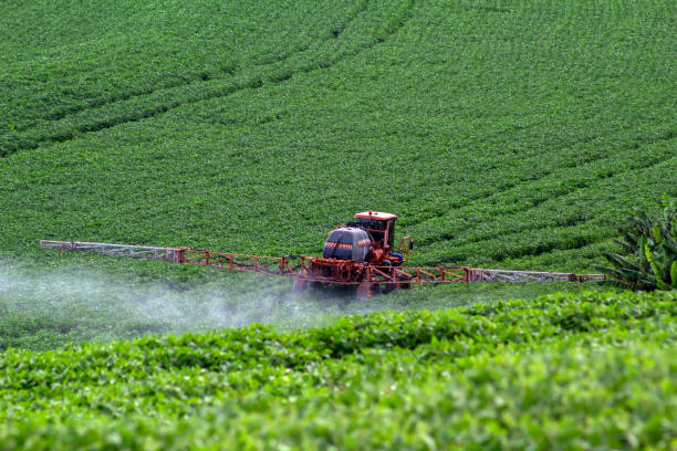 Tractor spraying fertilizer or pesticides on soybean field with sprayer in Brazil