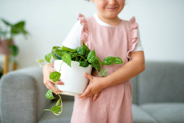 istock Happy kid holding a small potted plant at home 2158208588