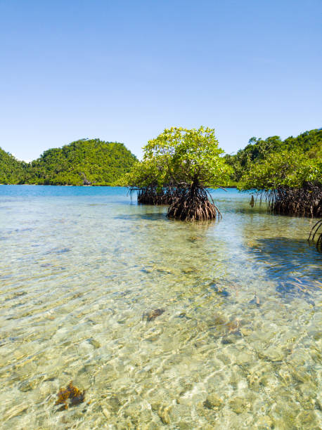 istock Tinago Island in Surigao del Norte, Philippines. 2158210038