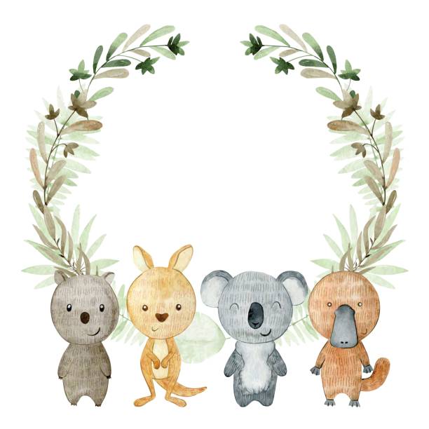 Watercolor australian frame. Baby shower card. Vector watercolor frame with australian animals. wombat stock illustrations