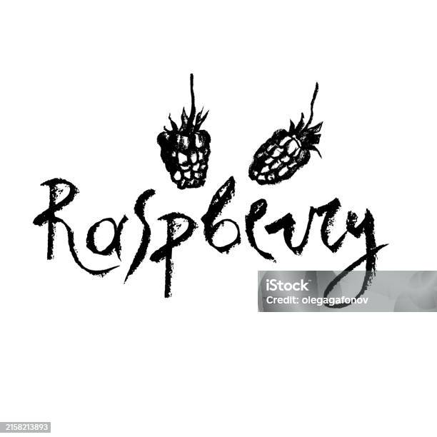 Red Raspberry Logo Weed Raspberry Symbol Raspberries Drawing For Berry Logo Design Stock ...
