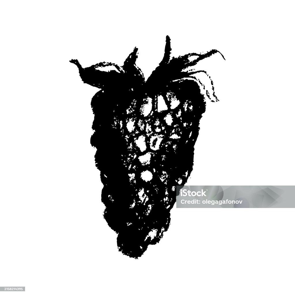 Red Raspberry Symbol Raspberry Symbol Raspberries Drawing For Berry Logo Design Stock ...
