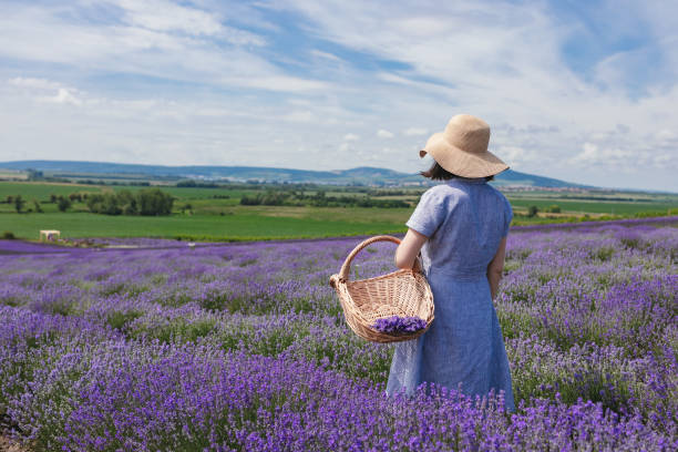 istock Girl walking through the lavender fields 2158216388