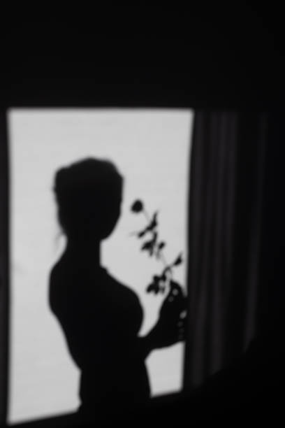 istock A silhouette of a woman. Shadow. Rose 2158226662