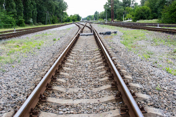 istock A Lone Track Winding Through The Forest On A Summer Day 2158228364