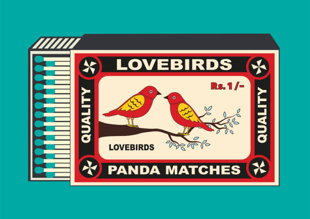 ove Bird (chidiya) vector icon. illustration in Matchbox and matches illustration. Vintage and antique matchbox packaging design illustration. retro style packaging. old style design. open box.