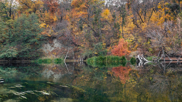 istock Vibrant colorful autumn nature by the river shore 2158233890