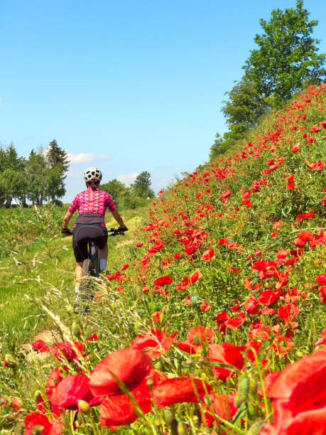 istock woman cycling between blooming red poppies 2158234460