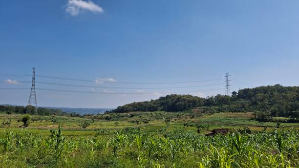 istock sunny village view during summer in Indonesia 2158234802