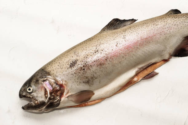 istock Fish red river trout, cleaning the scales, home cooking 2158235868