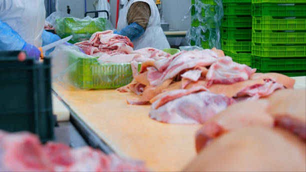istock Workers Packing Pork Packing in Industrial Meat Facility 2158237046