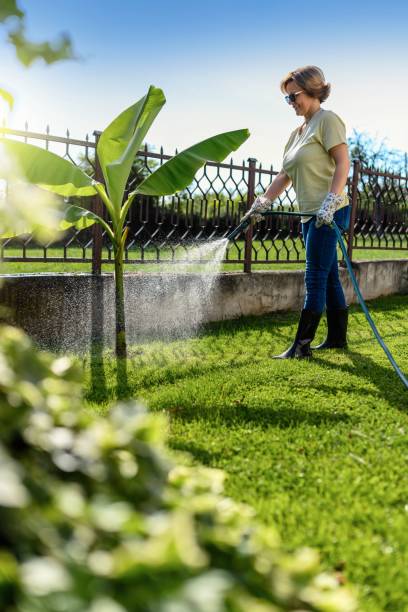 istock Woman watering garden 2158237051