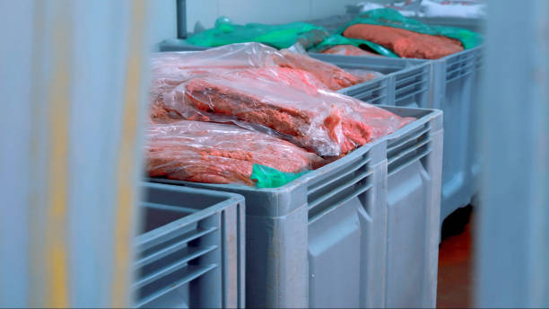 istock Looking through PVC Strip Curtains at  Packaged Ground Meat in Industrial Containers in Warehouse 2158237136