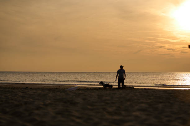 istock A man is playing with his dog at sunset. 2158237746