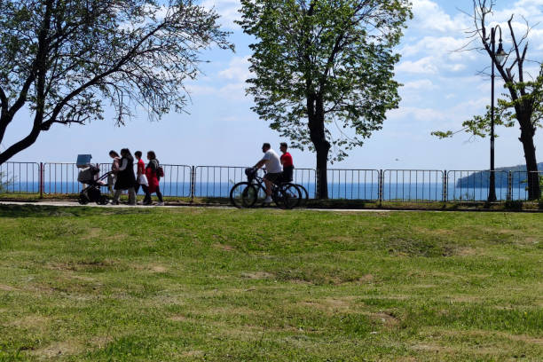 Bicycle path in a picturesque place among palm trees in Batumi, Georgia