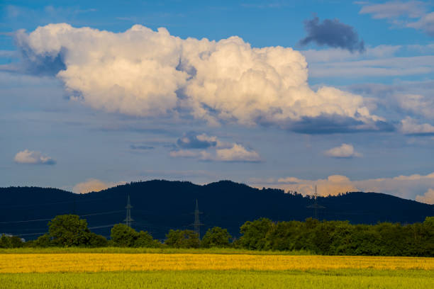 Nature scene, Summer scenery with field, hills and cumulus cloud in blue sky