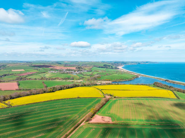 istock View of yellow Rapeseed (Brassica napus) fields in UK 2158246703