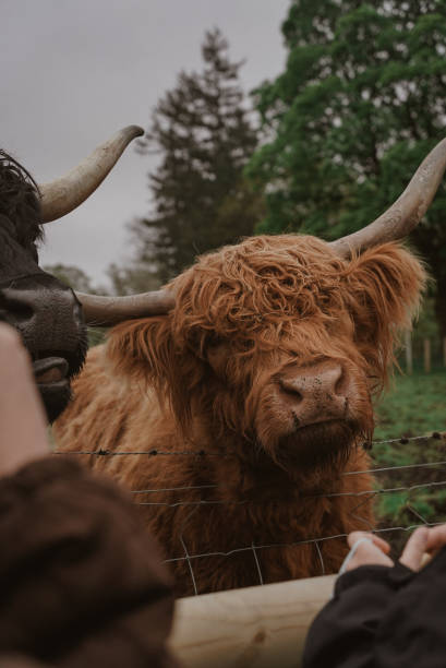 istock Views of Scotland 2158250987