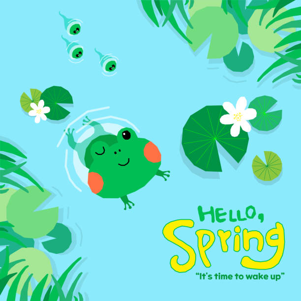 Spring Forward Frog 2,100+ Tree Frog On Flowers Stock Photos, Pictures & Royalty-Free ...