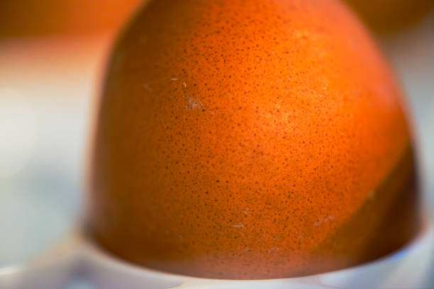 A captivating close-up reveals the intricate details and textures of farm-fresh eggs, highlighting their natural beauty.