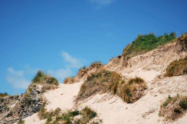 Sand dunes against blue sky at Hayle Beach, Cornwall on a sunny June day.