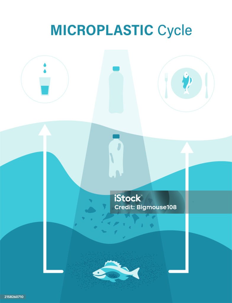 Microplastic Fish Vector Cartoon Color Microplastic Cycle Concept Poster Card Vector Stock ...