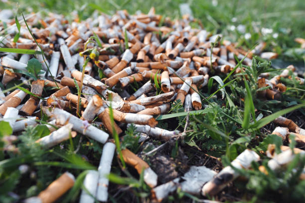 istock Scattered cigarette butts in green grass on meadow in park of big city view pattern. Problem of humanity. Smoking cigarettes close up bad habit of man. Nicotine addiction. Garbage. Unhealthy Lifestyle 2158264165