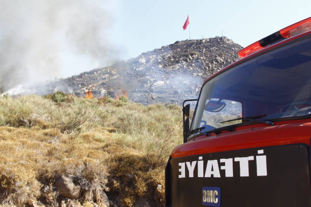Bodrum,Turkey.   August 01, 2020: Red raging flame of fire burn in grass fields, forests and black and white smoke to sky. Big wildfire close-up. pollution in air concept. wildfire make to smoke bush pollution in world. Volunteers and firefighters are responding to the fire.