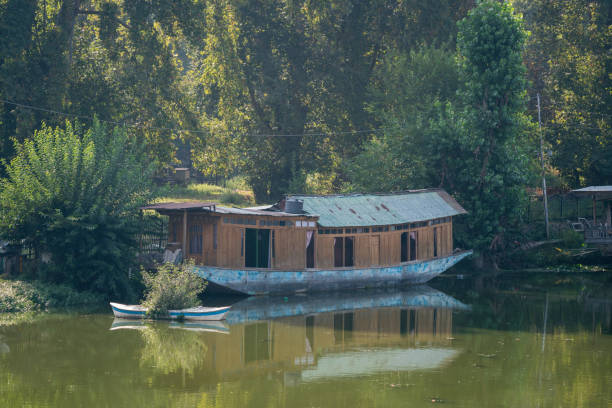 A serene scene with a yellow boat adorned with a white canopy gently gliding across the peaceful waters of a lake, surrounded by lush greenery and a tranquil landscape