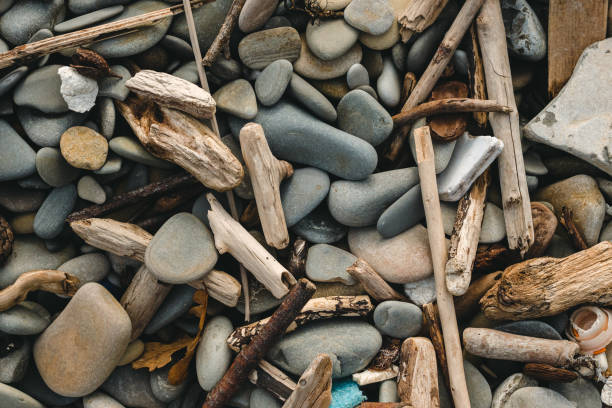 Smooth, rounded pebbles and driftwood scattered along the beach. The stones are various shades of grey and beige, while the driftwood is weathered and light brown. Background of rocks and sticks