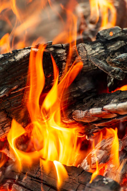 istock A blazing fire of burning logs. 2158276032
