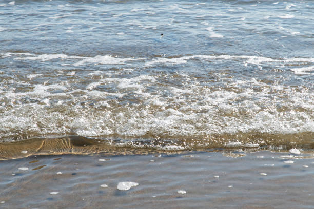 View of the ocean 14:34:35 Rimini, Italy.