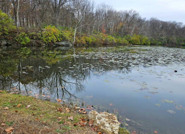istock France Park, Cass County, Indiana 2158279836