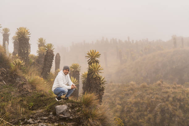 young hispanic latino man wearing overcoats while walking in the middle of the frailejon mountains