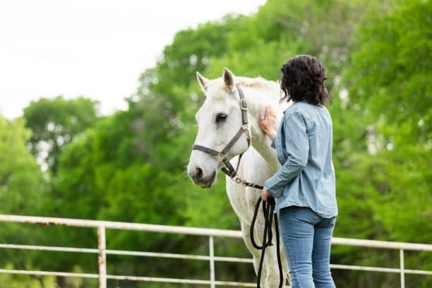 istock After walk around paddock, woman pets horse 2158291520