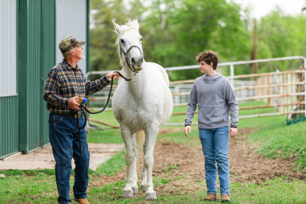 istock Senior man and grandson lead horse around paddock 2158291528