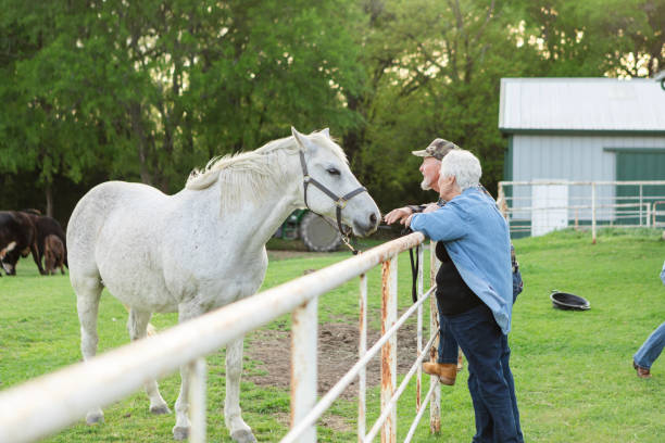 istock Senior couple enjoy spending time with horse 2158291541