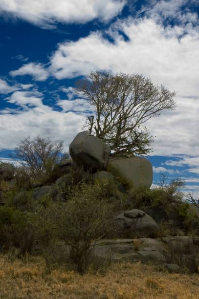 simba kopjes landscape with savannah and dramatic sky - Tanzania