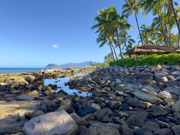 View on Pearl Harbor waters.