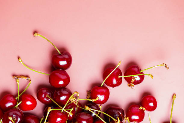 istock Sweet red cherries isolated with water drops. Black cherry, copy space 2158302486