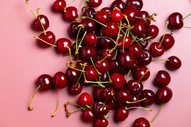 istock Sweet red cherries isolated with water drops. Black cherry, copy space 2158302584