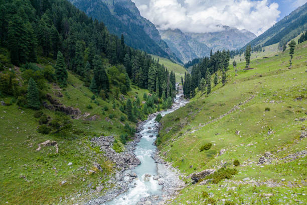 istock A river runs through a green forest in the Himalayas, highlighting its natural beauty, Kashmir, India 2158309748