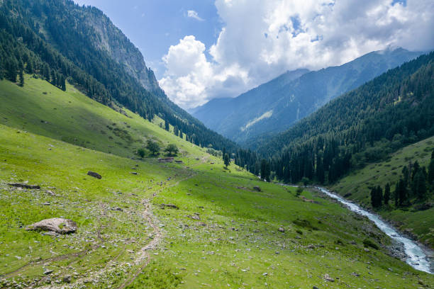 istock A river runs through a green forest in the Himalayas, highlighting its natural beauty, Kashmir, India 2158310355