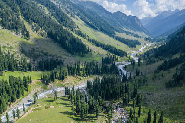 istock A river runs through a green forest in the Himalayas, highlighting its natural beauty, Kashmir, India 2158310681